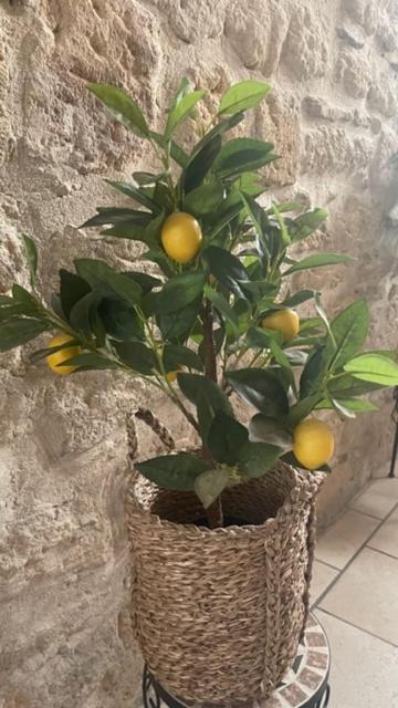 Appartement Le Rouget à Beaucaire  Extérieur photo